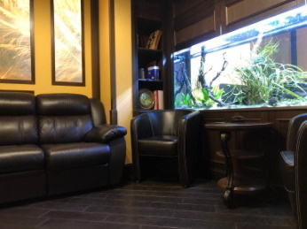 Office indoor